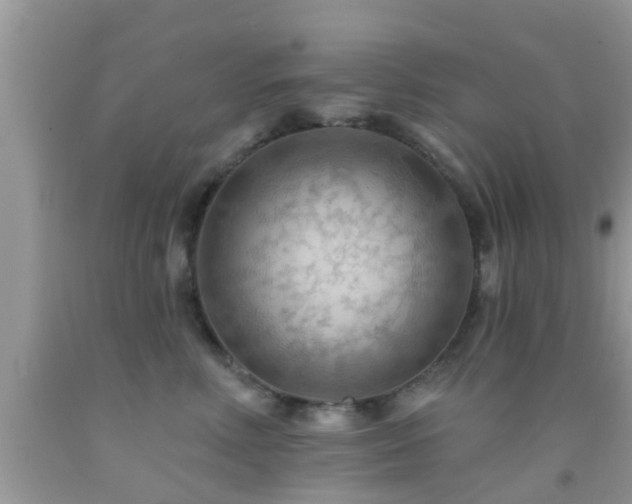 X0000092030618200709061616