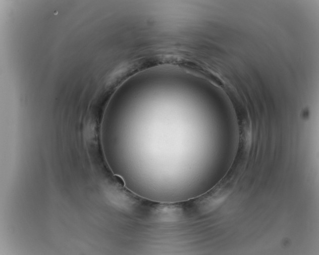X0000092030619200709061616