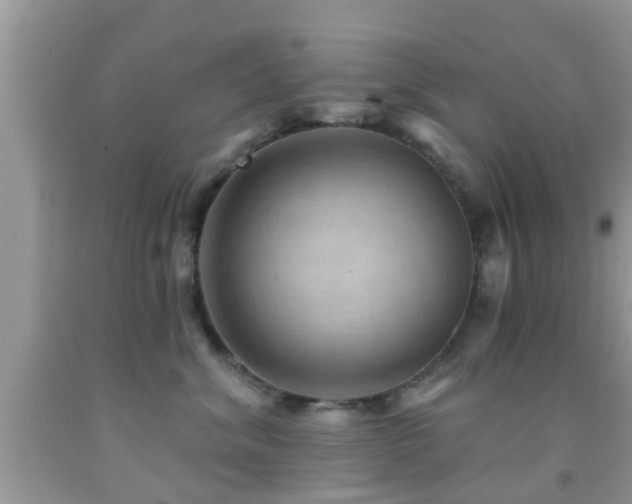 X0000092030620200709061616