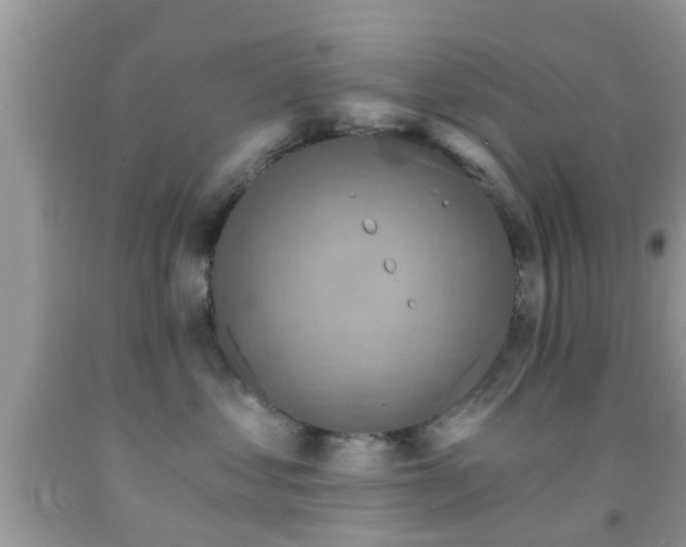 X0000092030621200709061616