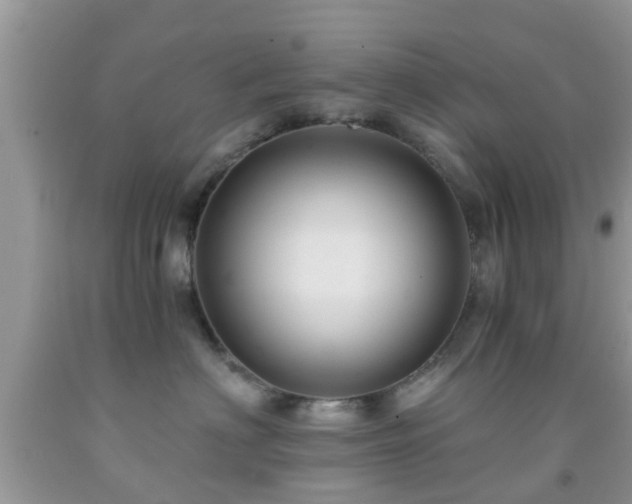 X0000092030622200709061616