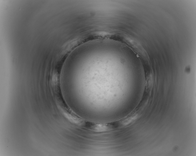 X0000092030623200709061615