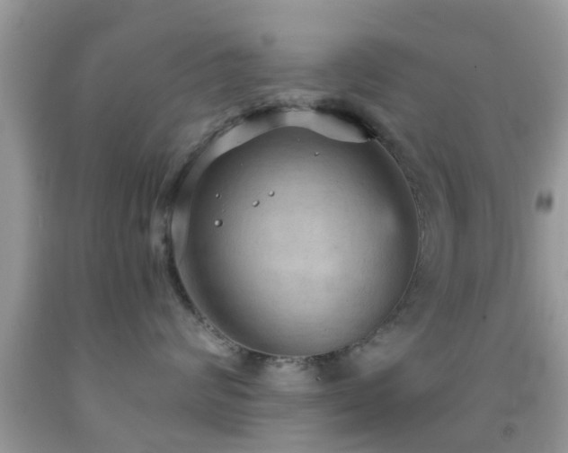 X0000092030624200709061615