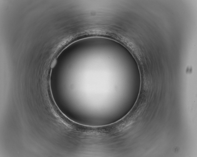 X0000092030625200709061615