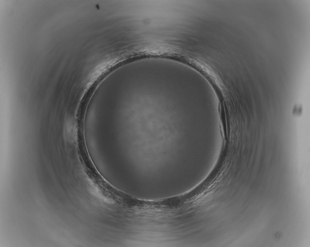 X0000092030626200709061615