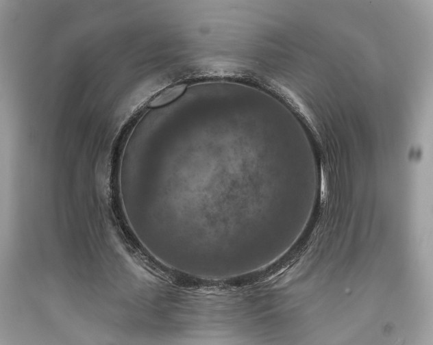 X0000092030627200709061615