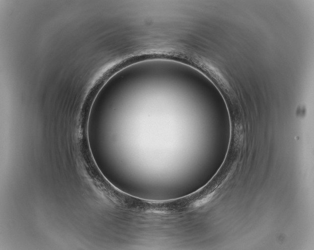 X0000092030628200709061615