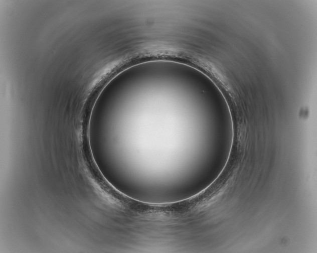 X0000092030629200709061615