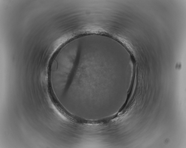 X0000092030630200709061615