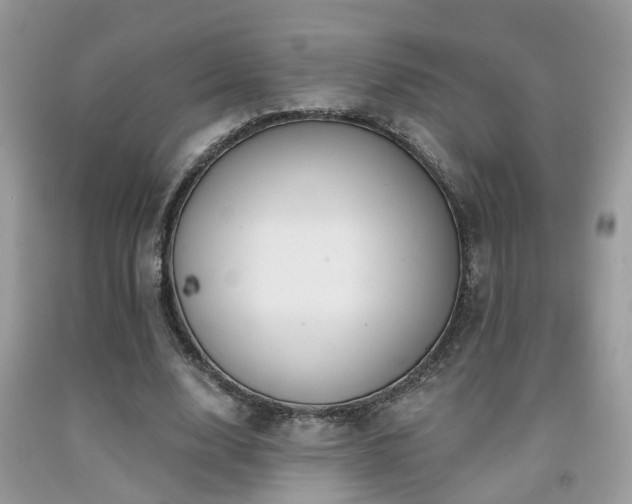 X0000092030632200709061615