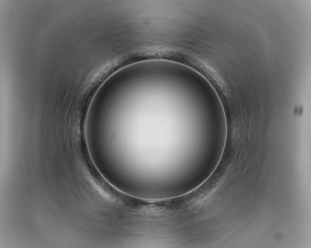 X0000092030633200709061615