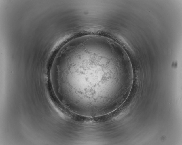 X0000092030634200709061615