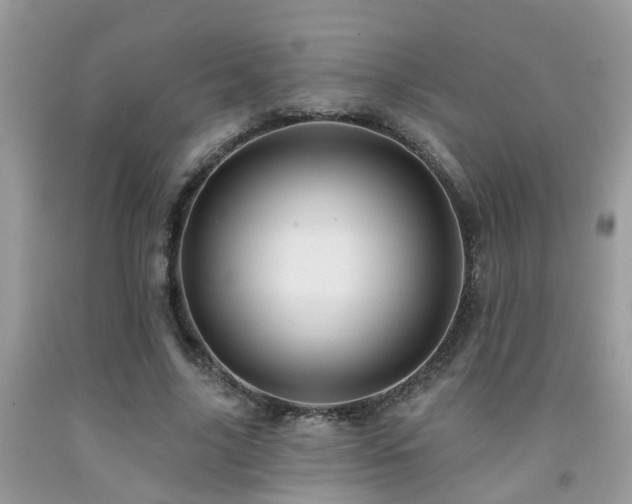 X0000092030635200709061615