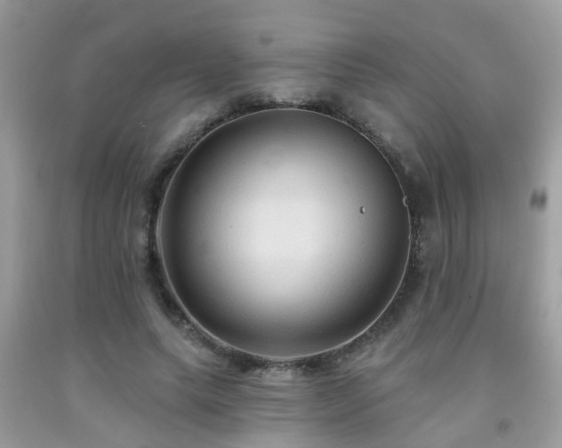 X0000092030639200709061615