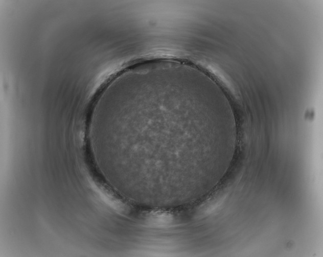 X0000092030640200709061615