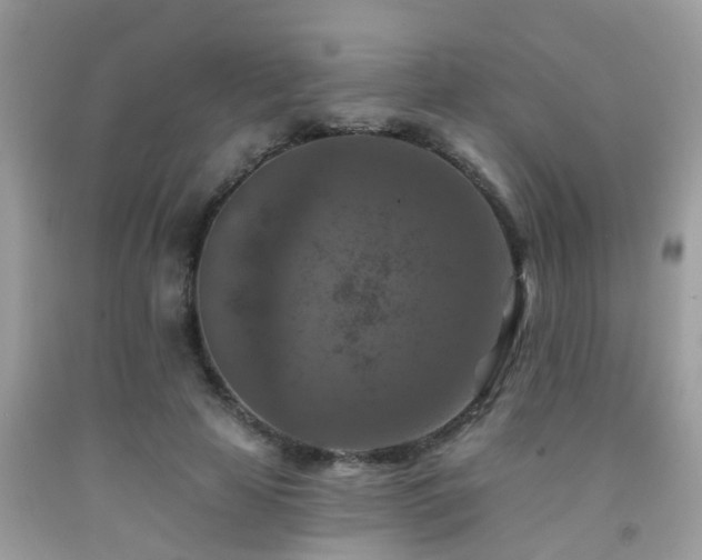 X0000092030641200709061615