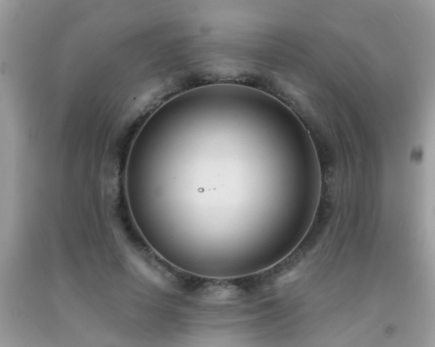 X0000092030642200709061615