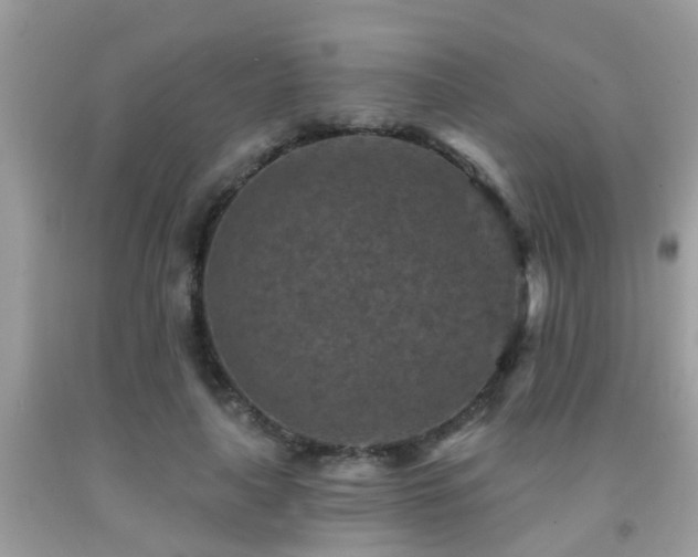 X0000092030643200709061615