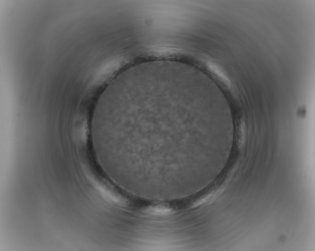 X0000092030644200709061615