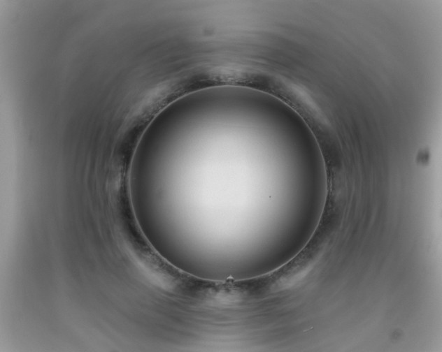 X0000092030645200709061615