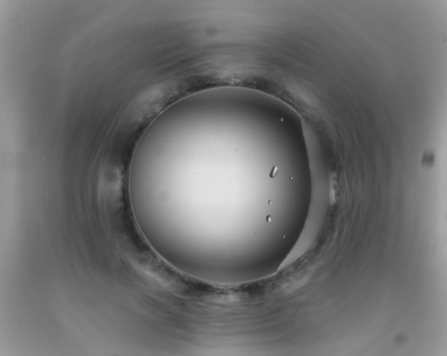 X0000092030646200709061615