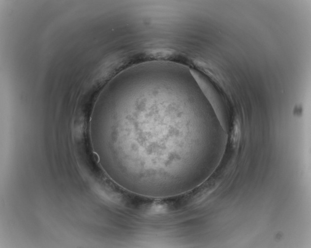 X0000092030647200709061615