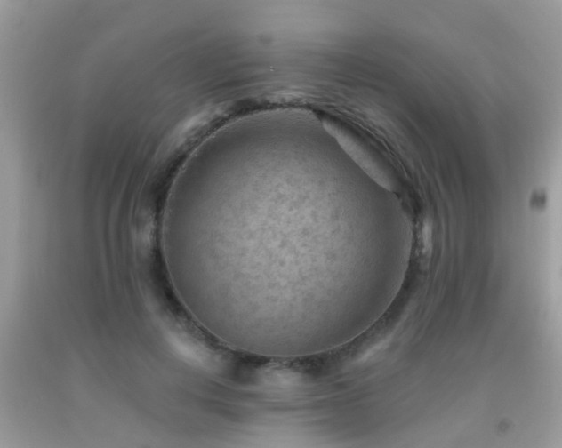X0000092030648200709061615