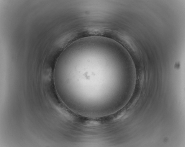 X0000092030649200709061615