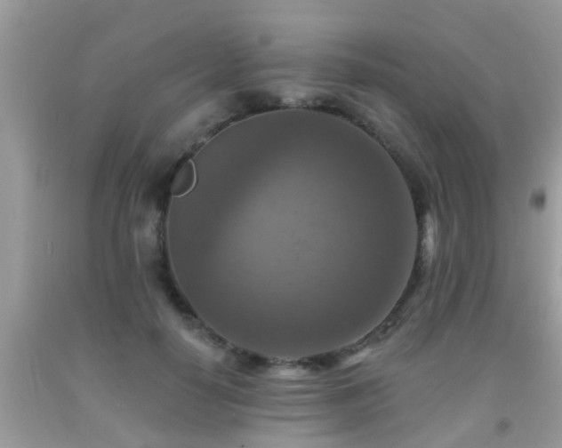 X0000092030650200709061615