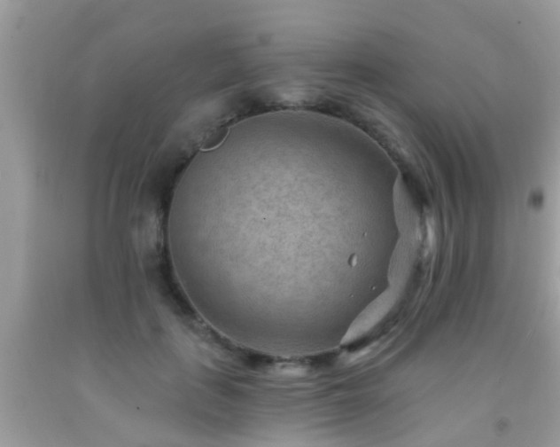 X0000092030651200709061615