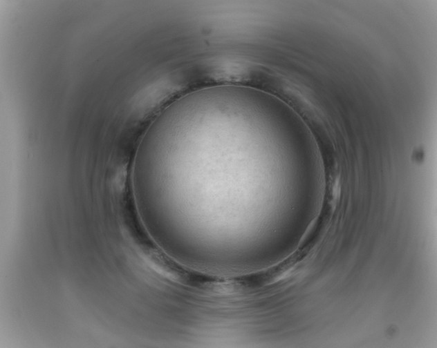 X0000092030652200709061615