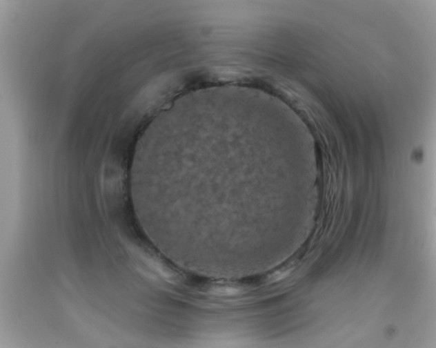 X0000092030653200709061615
