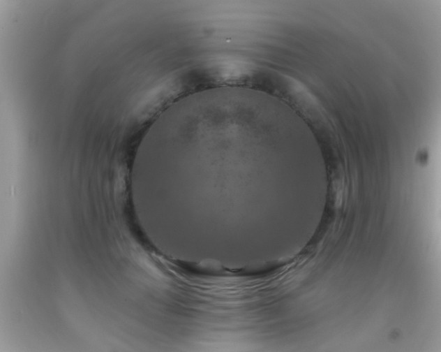 X0000092030654200709061615