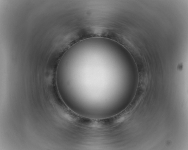 X0000092030656200709061615