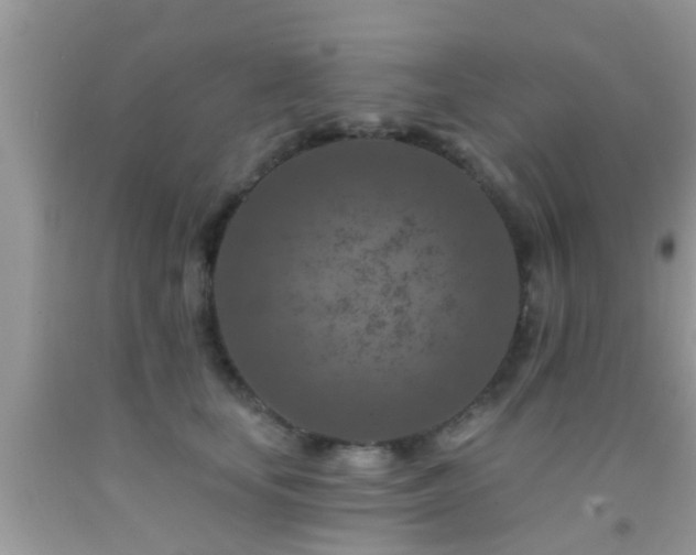 X0000092030659200709061615