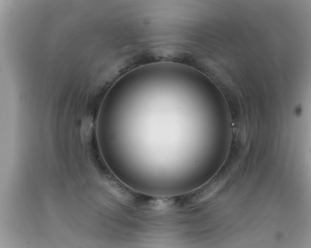 X0000092030660200709061615
