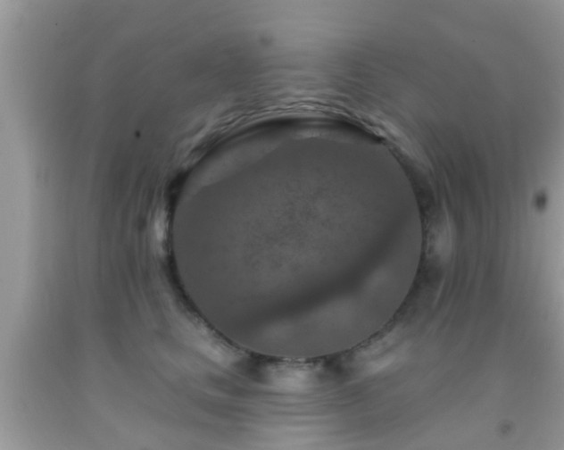 X0000092030661200709061615