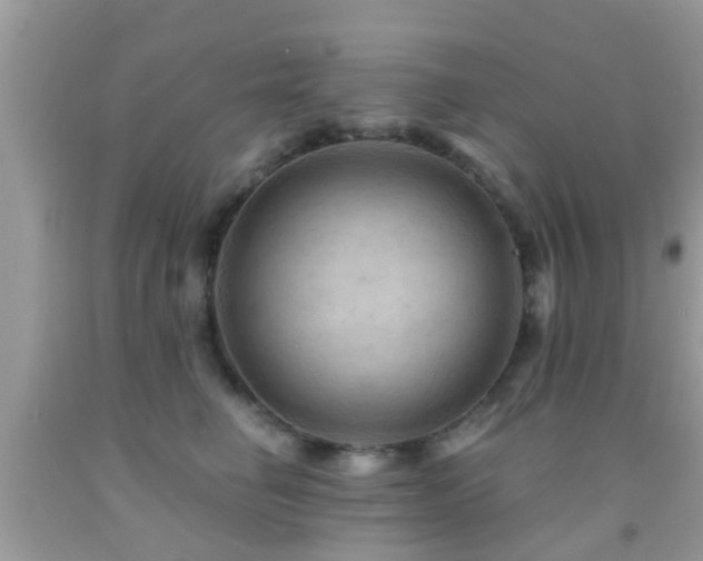 X0000092030662200709061615
