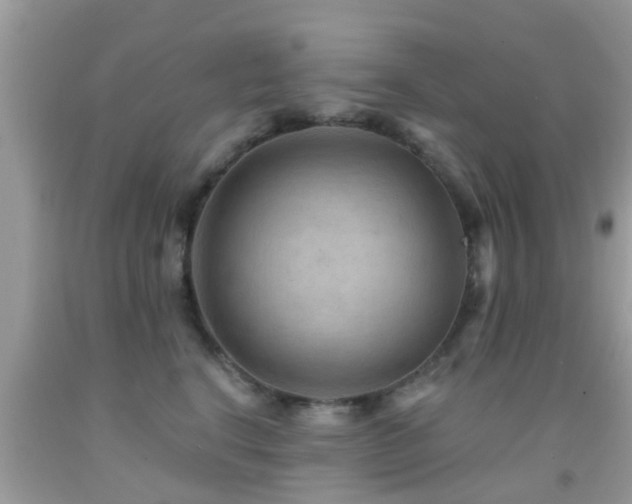 X0000092030664200709061615