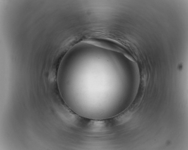 X0000092030665200709061615