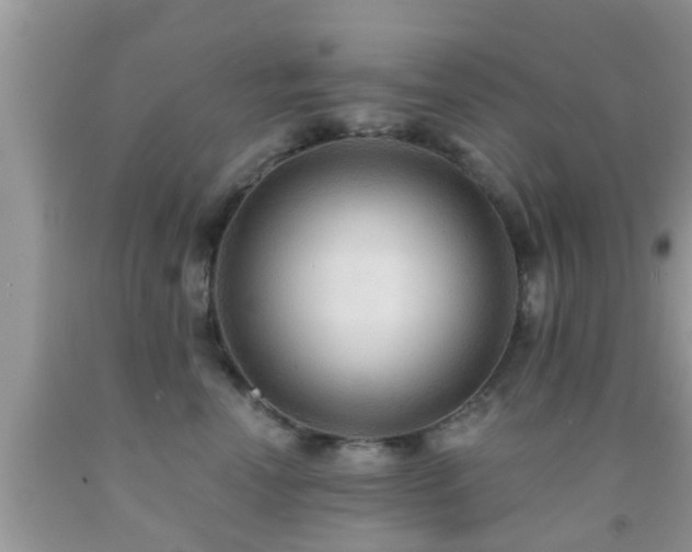 X0000092030666200709061615