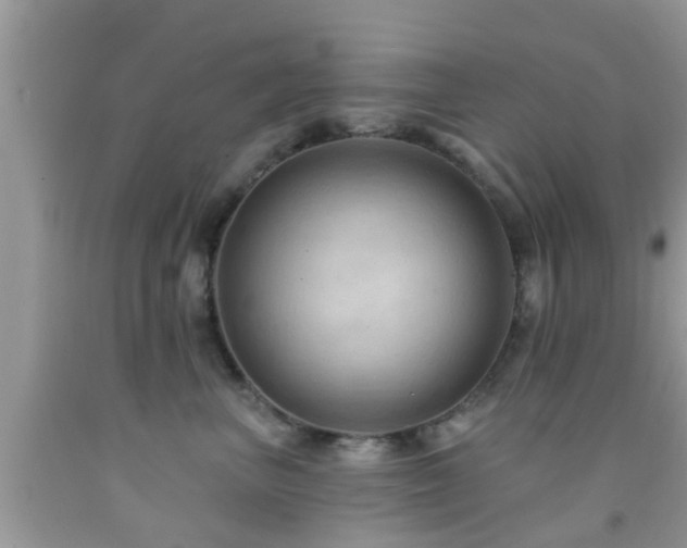 X0000092030667200709061615