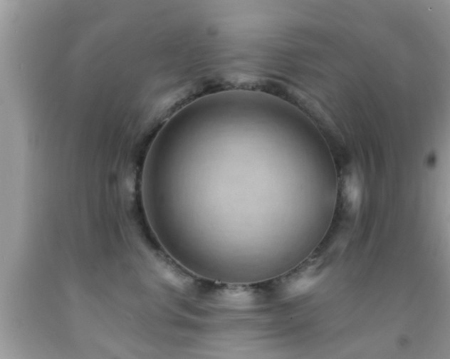 X0000092030668200709061615