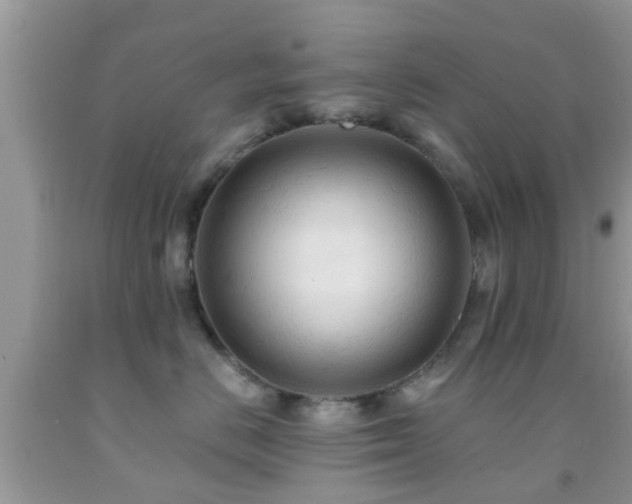 X0000092030670200709061615