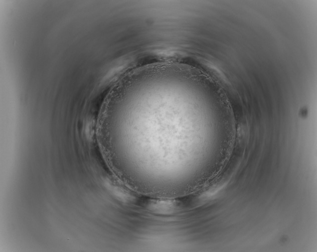 X0000092030671200709061615