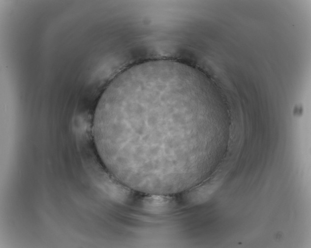 X0000092030672200709061615