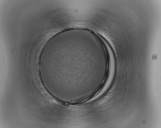 X0000092030673200709061615