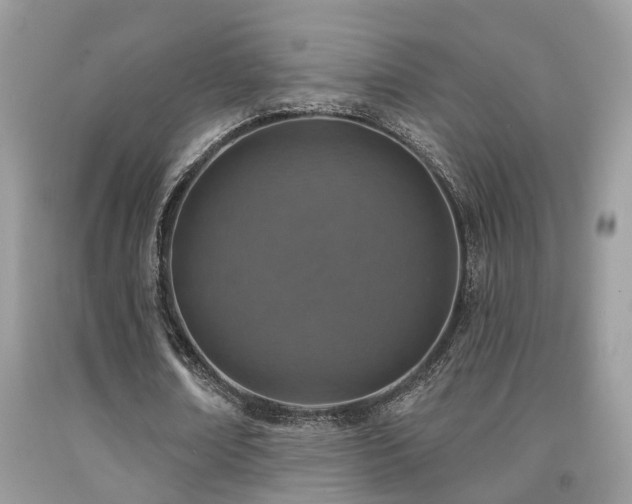 X0000092030674200709061615