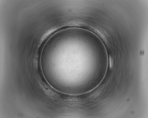 X0000092030675200709061615