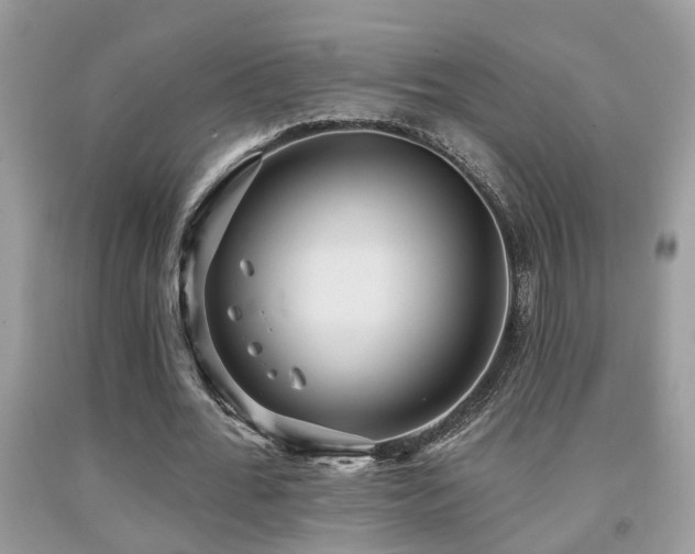 X0000092030676200709061615